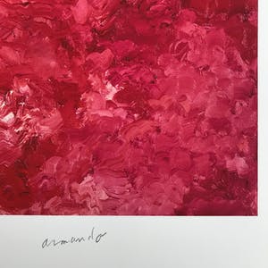 Armando - Gesigneerde giclée - 2016 - kleurrijk werk - EA kopen? Bied vanaf 75!