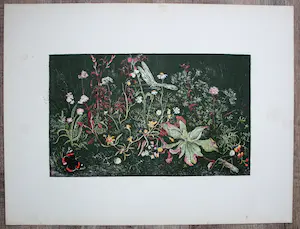 Wim Schuhmacher - Bloemen, vlinders en insecten, Kleurenlitho kopen? Bied vanaf 35!