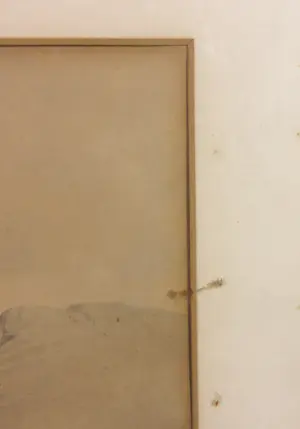 Thomas William Bowler - Gravure, Kaap de Goede Hoop kopen? Bied vanaf 1!