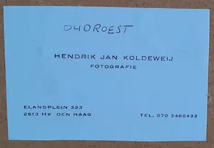 Hendrik Jan Koldeweij - "Oud roest" kopen? Bied vanaf 1!