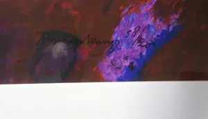 Nico Molenkamp - Zeefdruk - Ingelijst (Groot) kopen? Bied vanaf 1!