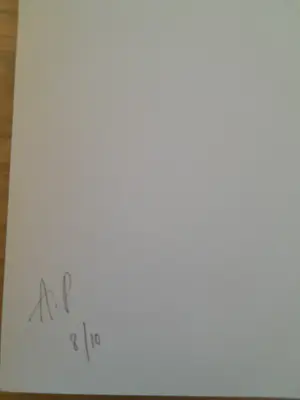 Koen Vanmechelen - Fighter kopen? Bied vanaf 740!