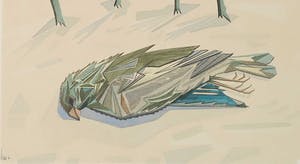 Niet of onleesbaar gesigneerd - Aquarel, Vogel kopen? Bied vanaf 1!