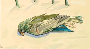 Niet of onleesbaar gesigneerd - Aquarel, Vogel verkocht voor € 1!