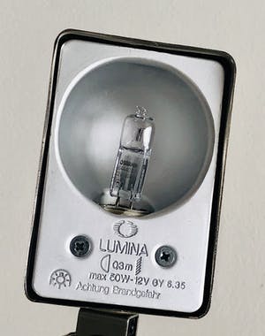 Tommaso Cimini - Daphine Terra kopen? Bied vanaf 225!