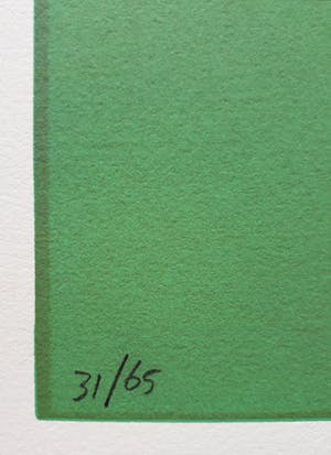 Jurjen Fontein - Tuinfeest, zeefdruk (groot) kopen? Bied vanaf 40!