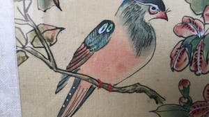Niet of onleesbaar gesigneerd - Paradijsvogels kopen? Bied vanaf 1!