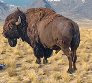 Mr. Strange - The Manager kopen? Bied vanaf 80!