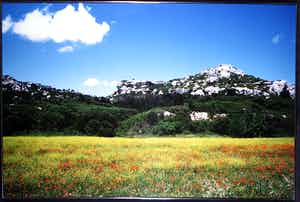 Paul Huf - C-Print, Les Alpilles in Spring - Ingelijst (Zeer groot) verkocht voor € 100!
