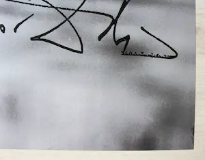 Salvador Dali - "Schwimmender DALI II" 1985 kopen? Bied vanaf 80!