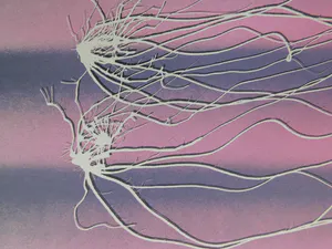 Vincent Mengin-Lecreult - Zonder titel kopen? Bied vanaf 30!