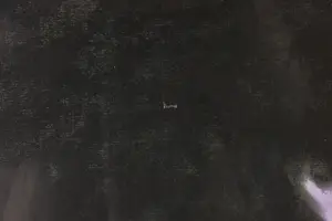 Martin van Vreden - Pastel op papier, Bloemen - Ingelijst (Zeer groot) kopen? Bied vanaf 250!