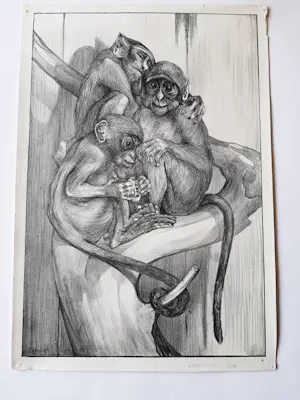 Theo van Hoytema - Litho, 'Apen' kaufen? Bieten Sie von 35!