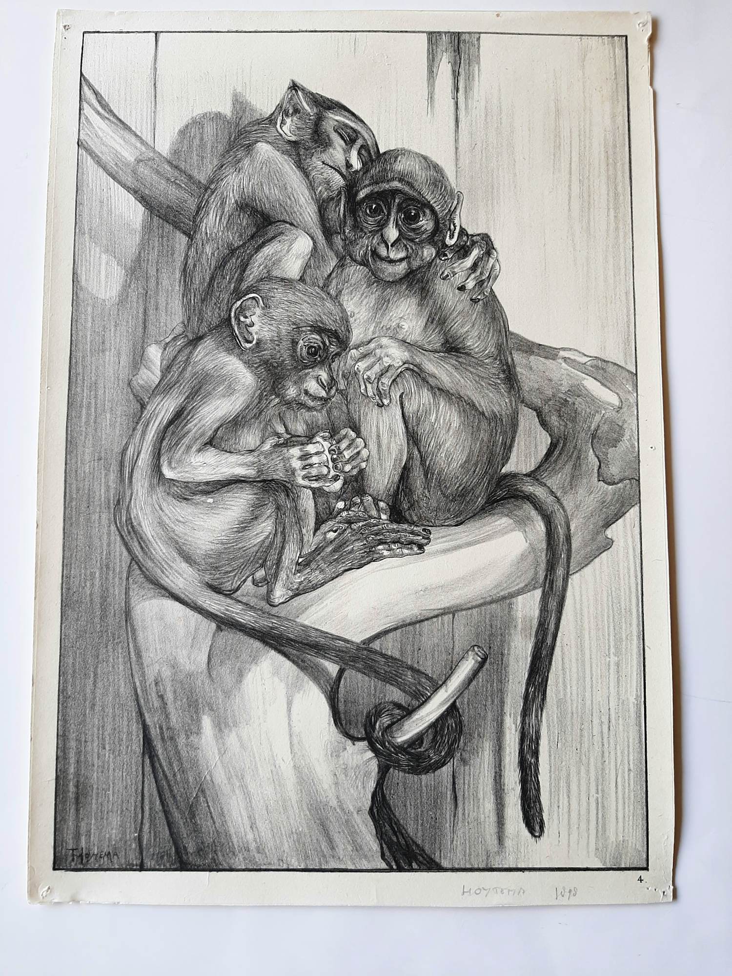 Theo van Hoytema - Litho, 'Apen' kopen? Bied vanaf 35!