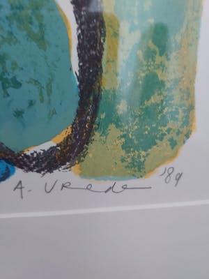 Anton Vrede - Papegaaien met gezicht kopen? Bied vanaf 50!