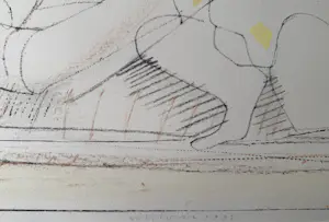 Co Westerik - handgesigneerde kleurenzeefdruk | 'Paar in landschap' | 1991 kopen? Bied vanaf 250!