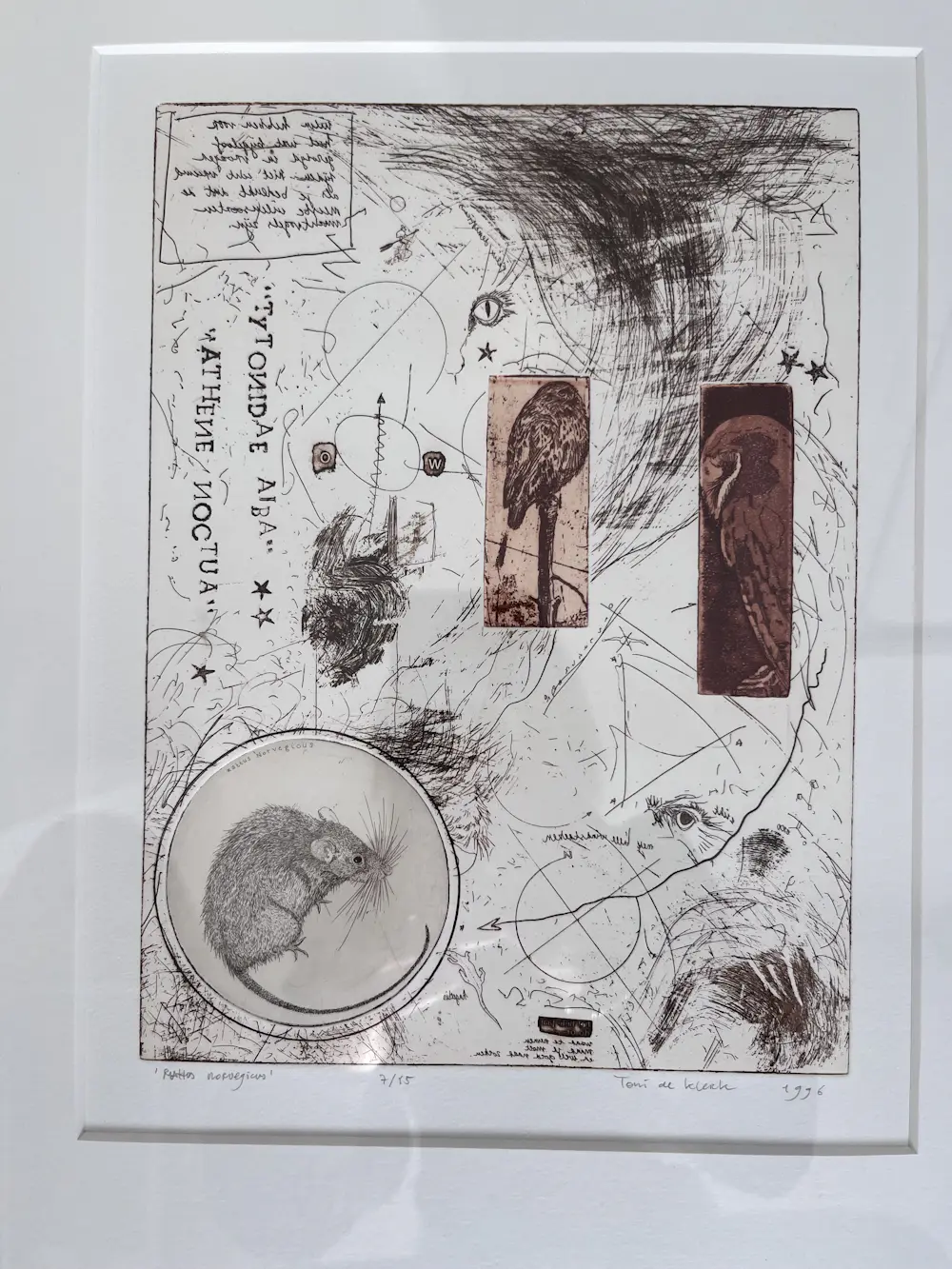 Toni de Klerk (1960)