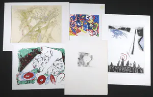 Saskia van Dijk - en andere! - Lot met 10 werken (grafiek én origineel) op papier kopen? Bied vanaf 1!