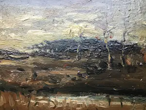 Antonius Vorstermans - Peellandschap kopen? Bied vanaf 50!