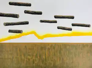 Erik Roos - Il bosco fantasma vendu pour 65€ !