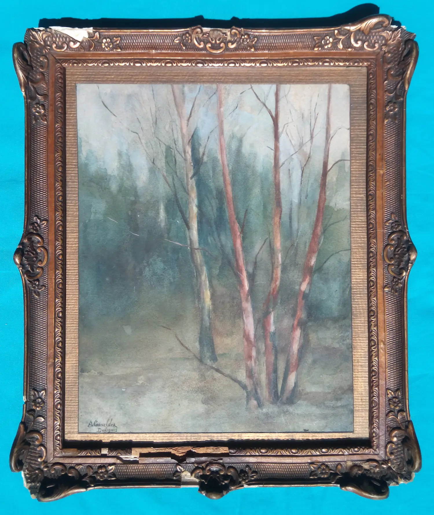 Thomasine Adrienne Doffegnies (1865-1937)