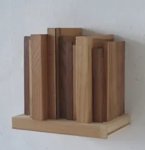 Eric van Solm - 'Vorm van boeken' (revised) kopen? Bied vanaf 395!