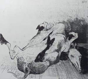 Henk Huig - Overleden dier, aquatint ets kopen? Bied vanaf 35!
