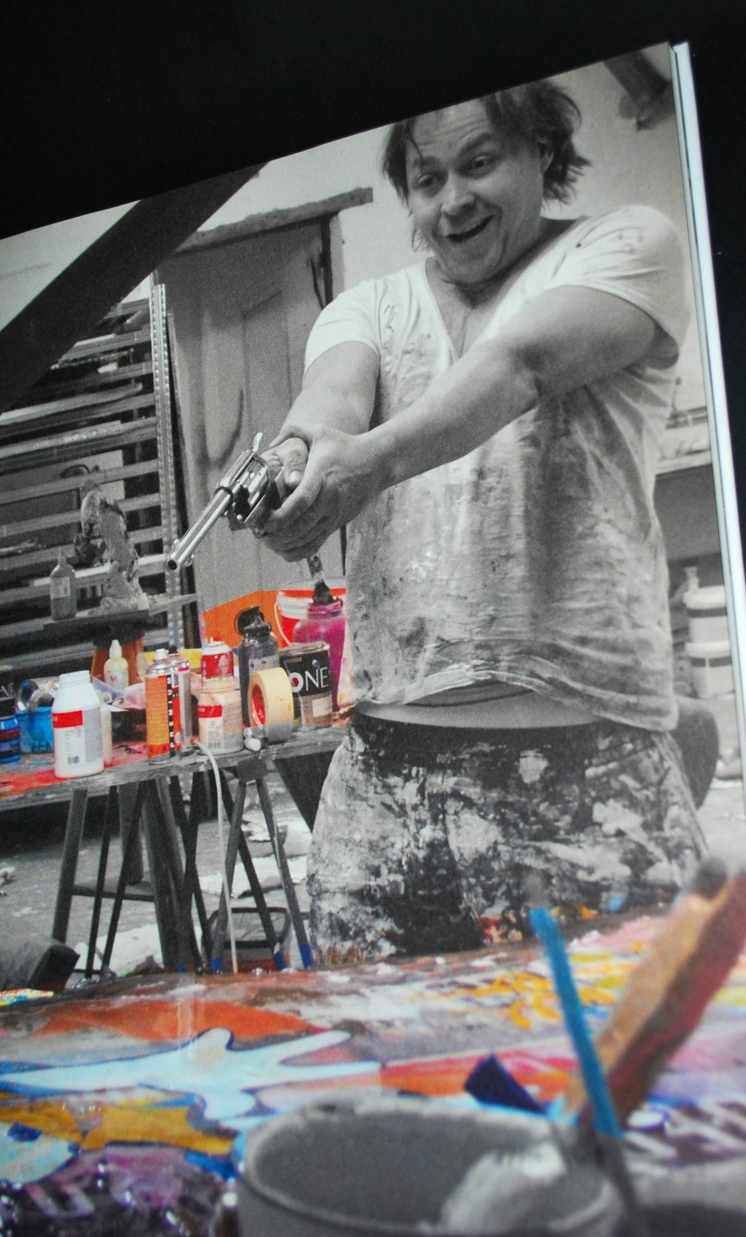 Bram Reijnders - Illusion Paradise - in zeer goede staat kopen? Bied vanaf 75!