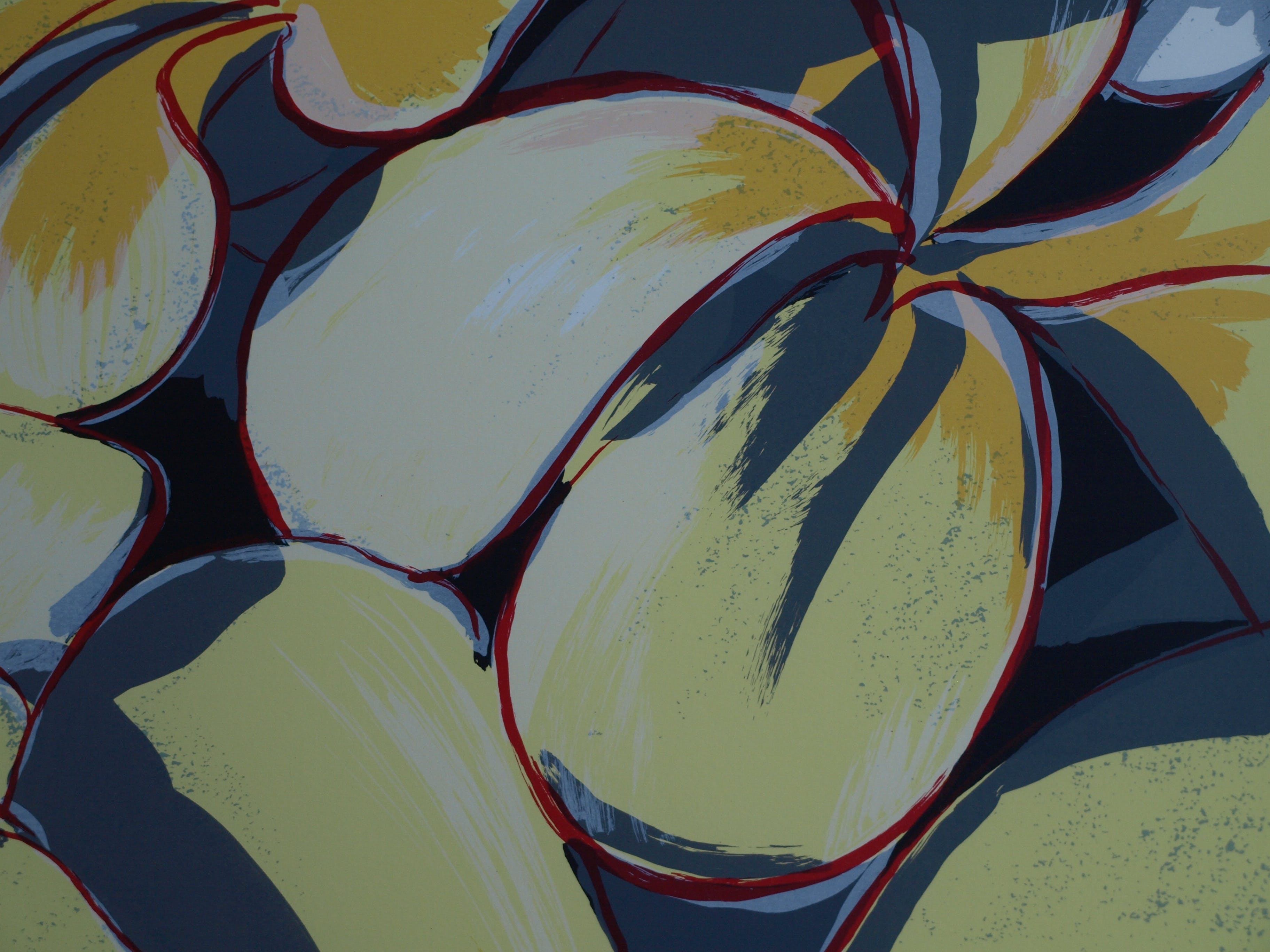 Frank Rosen - Zeefdruk , Boombloem - gesigneerd & ingelijst - 1996  kopen? Bied vanaf 50!