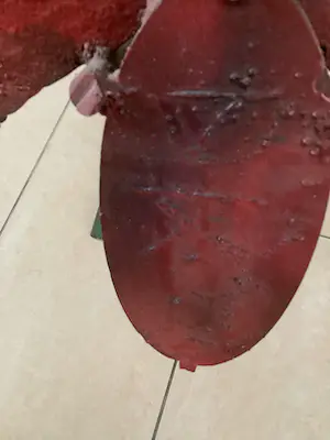 Wim Cerneus - Koopje : Prachtig beeld van een vogel , beschilderd door Herman Brood kopen? Bied vanaf 750!