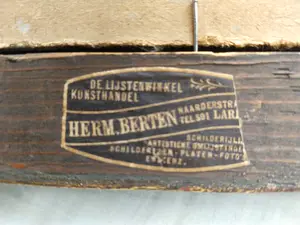 Henri van de Velde - Portret van een dame kopen? Bied vanaf 220!