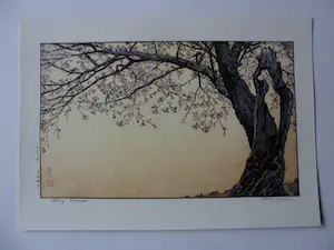 Toshi Yoshida - Japanse houtblokdruk . Kersenbloesem. kopen? Bied vanaf 45!