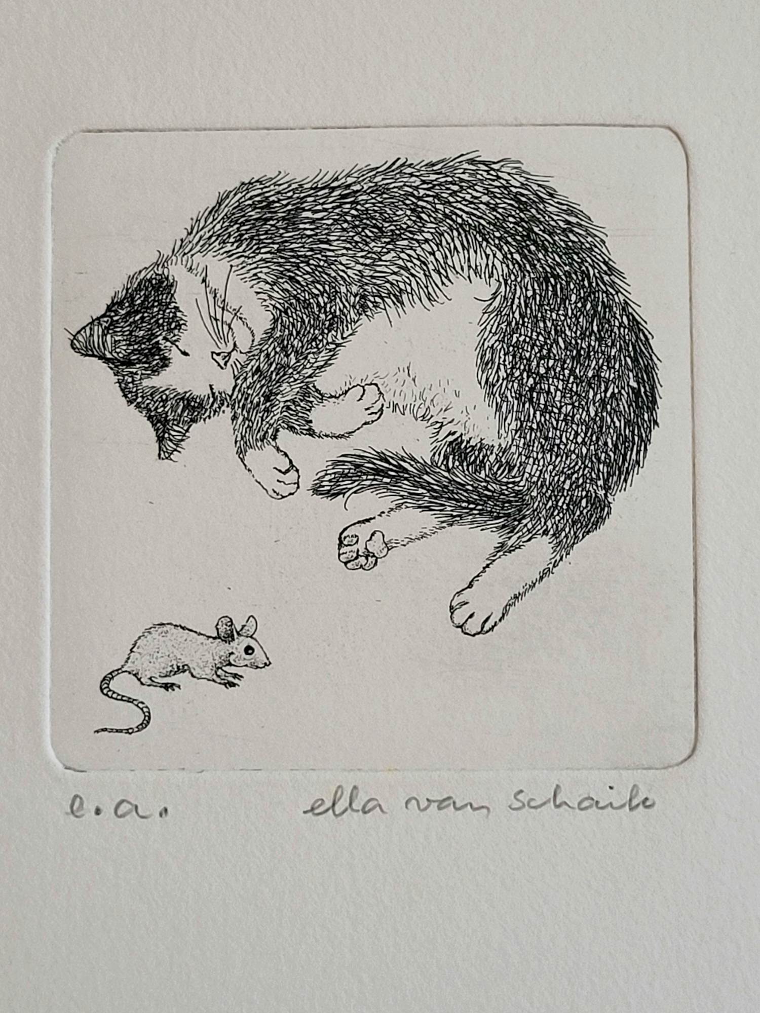 Ella van Schaik - handgesigneerde ets | 'Kat en muis' verkocht voor € 40!