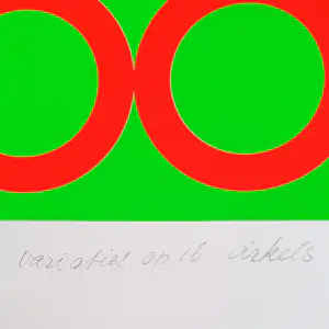 Rob Schotman - variaties op 16 cirkels kopen? Bied vanaf 50!