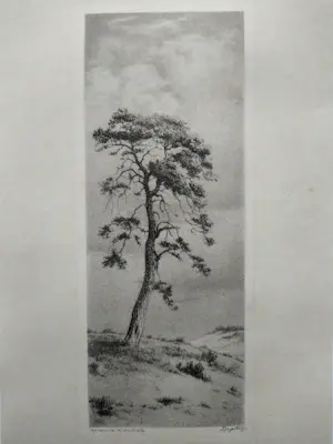 Dirk Harting - Duinlandschap kopen? Bied vanaf 40!