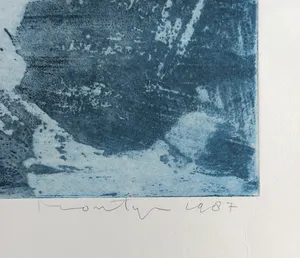 Jan Montyn - Le chute libre, aquatint ets (kleine oplage) kopen? Bied vanaf 115!