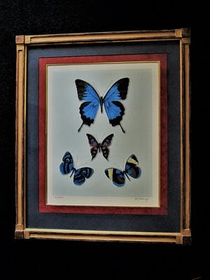 Hans Verhoef - Magisch Realisme - Beperkte Oplage (50) - Litho "diverse Vlinders" gesigneerd kopen? Bied vanaf 10!