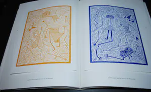 Pieter Bijwaard - Boek, 2x gesigneerd, genumm.336/500-met gouache, foto, 5 drukwerken en 2x CD kopen? Bied vanaf 25!