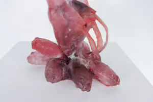 Richard Price - Sculptuur van glas (cire perdue-methode), Flights of Fancy kopen? Bied vanaf 250!