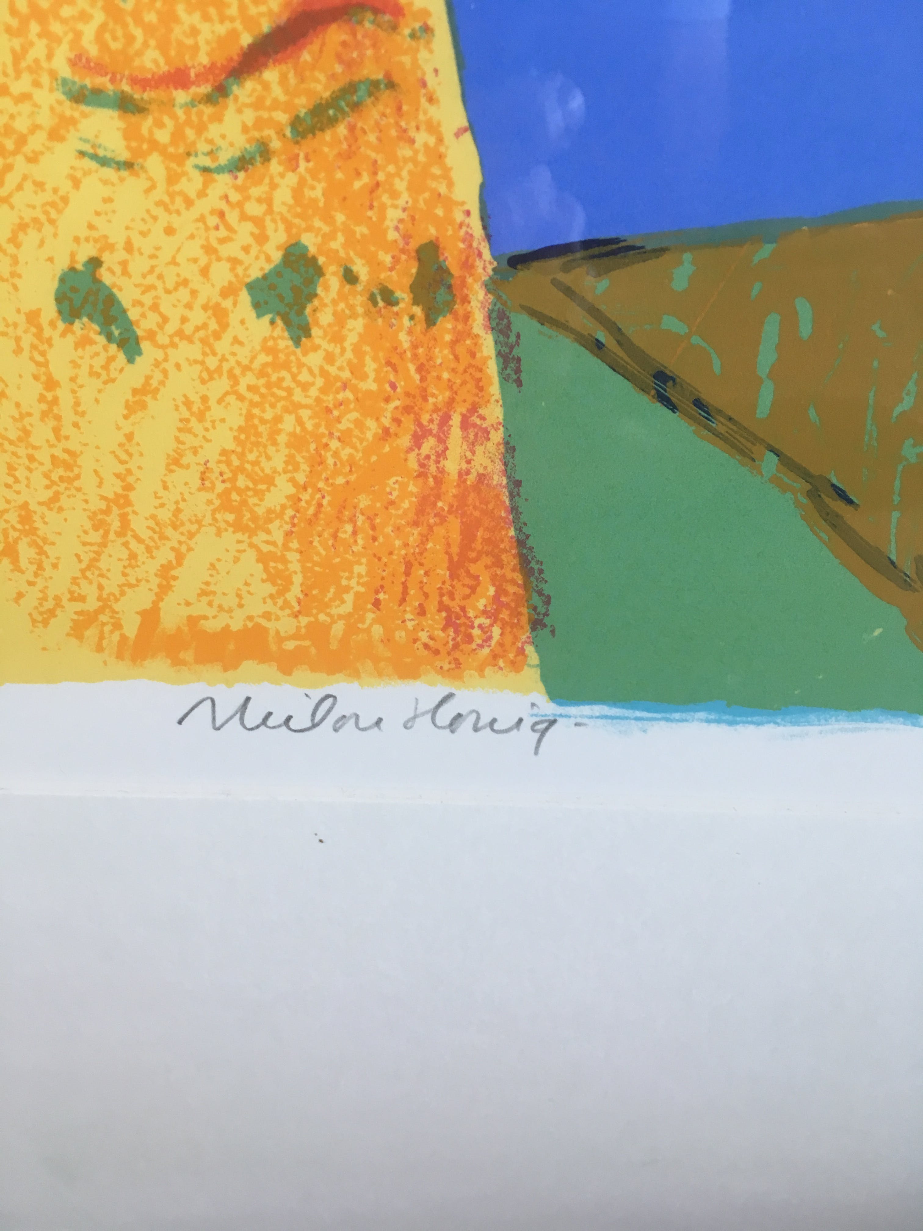 Milou Honig - Zeefdruk ‘ Snek II ‘ ingelijst. kopen? Bied vanaf 35!