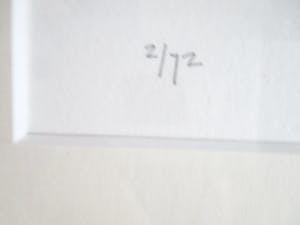 Jan Homan - Ingelijste zeefdruk kopen? Bied vanaf 40!