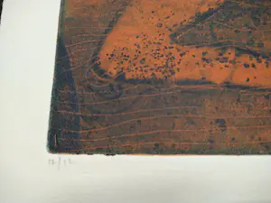 Mark Visione - Swim - kleuren ets - ingelijst kopen? Bied vanaf 65!