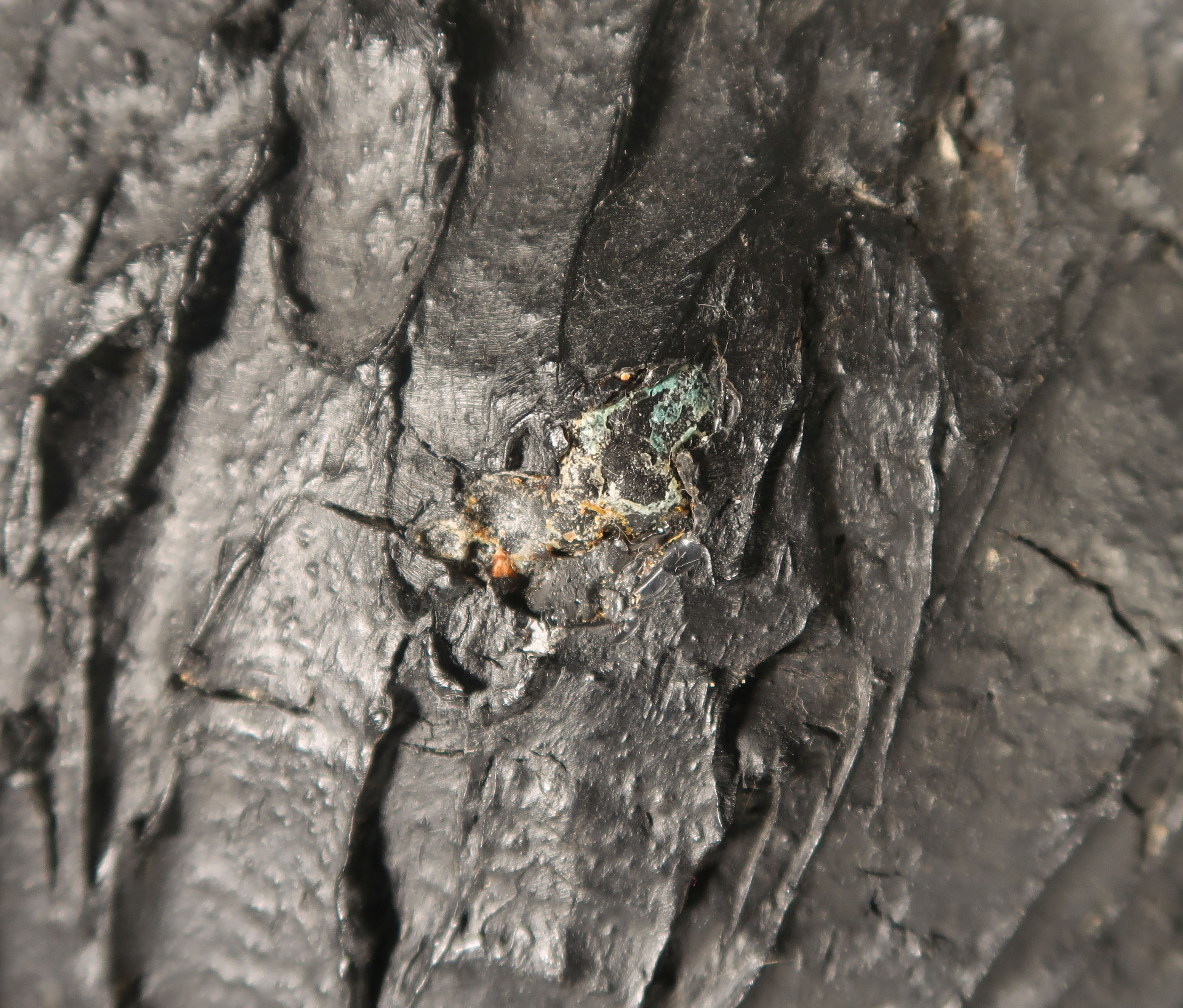 Toon Gielen - Polyester en hout, Koppel kopen? Bied vanaf 1!