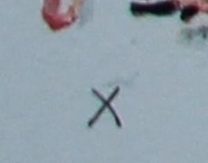 Jan Wolkers - Zeefdruk: Winterbeelden - 1995 kopen? Bied vanaf 225!