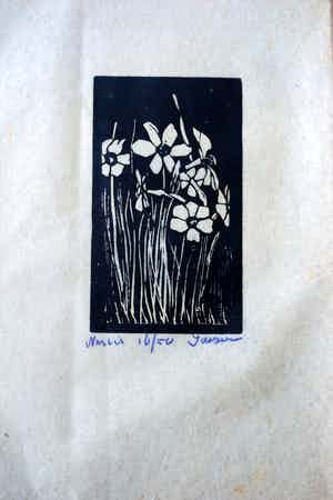 Jac. de Beer - Narcis verkocht voor € 40!