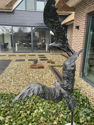 Jacqueline van der Laan - Twee meeuwen kopen? Bied vanaf 1200!