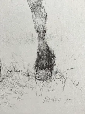 Piet Klaasse - Paarden, proefdruk offsetlitho, 2-zijdig bedrukt, gesigneerd in druk kopen? Bied vanaf 50!