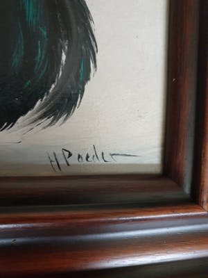 Henk Poeder - Phoenix cock kopen? Bied vanaf 35!