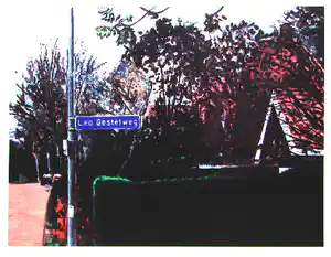 Rob Scholte - Zeefdruk "Leo van Gestelweg" in lijst verkocht voor € 65!