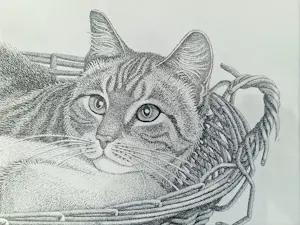 Ella van Schaik - Aardappelmand kopen? Bied vanaf 40!